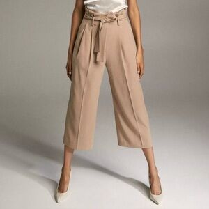 Aritzia Babaton Culotte Pants (Dionysus)